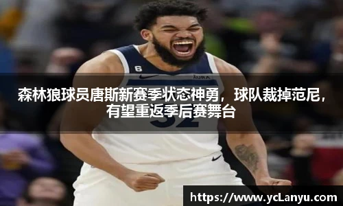 森林狼球员唐斯新赛季状态神勇，球队裁掉范尼，有望重返季后赛舞台